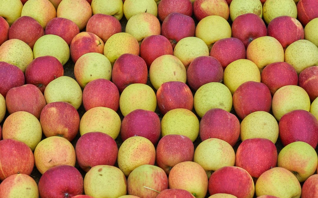 Obstsaft Mosterei Post verschiedene Äpfel
